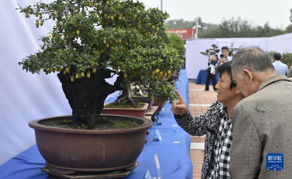天9国际登录